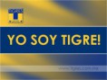/album/fotogaleria/tigres1-jpg1/