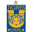 /album/fotogaleria/tigres2-jpg1/